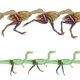 A bird and a dinosaur movement patterns.
